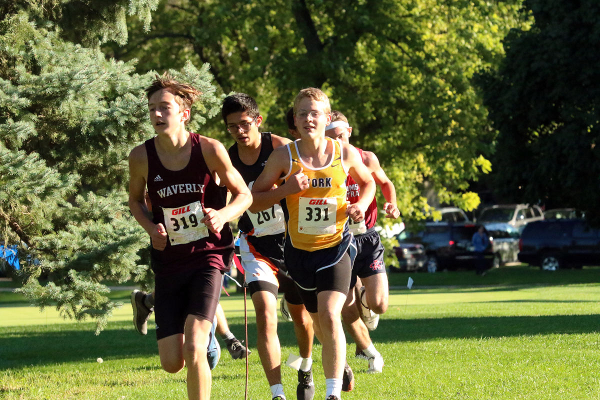 York Cross Country Invite (37).jpg